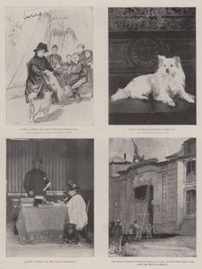 La vita di Vittoria